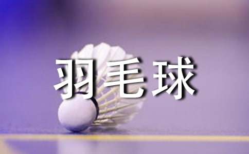 關(guān)于打羽毛球小學(xué)生作文300字四篇