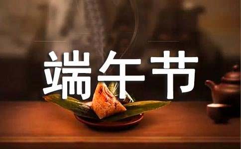 我愛家鄉的端午節作文(通用6篇)