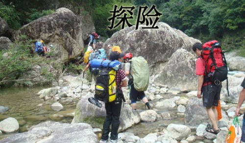 叢林探險記作文
