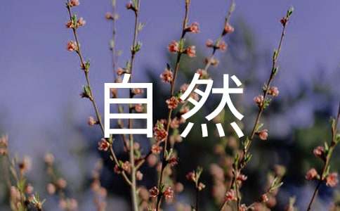 有關寫一處自然景觀作文集合6篇