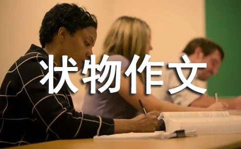 二年級狀物作文300字（精選41篇）