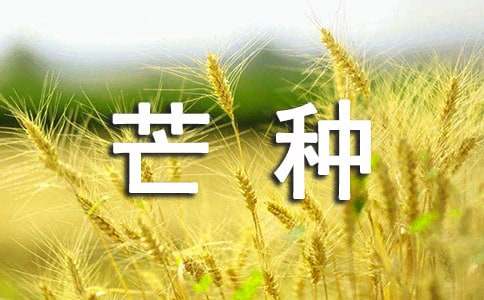 二十四節氣芒種諺語130句