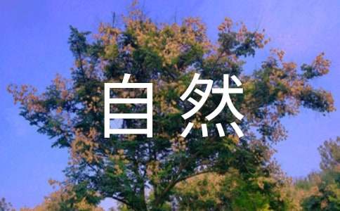 【熱門】大自然給人類的啟示作文2篇